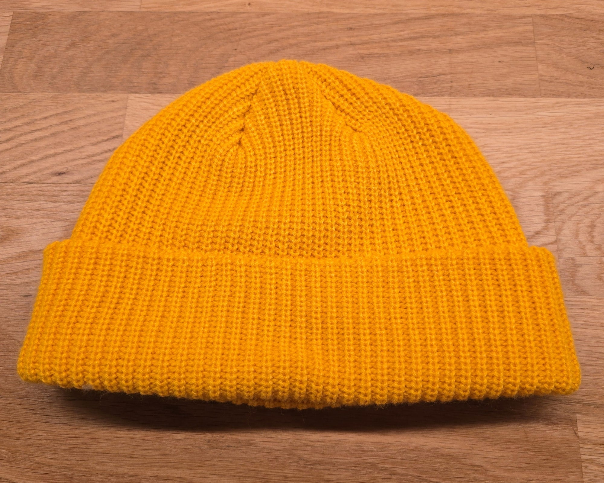 NIRJALA EKADASI SURVIVOR